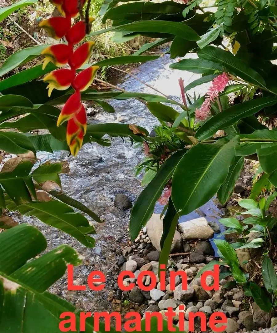 Coin D Armantine Βίλα Capesterre-Belle-Eau Σπίτι διακοπών